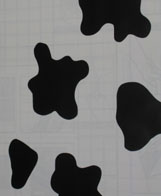 cow skin