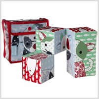 Frank and Fischer Twist and Turn Blocks at the Hedgepig