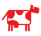Large cow wall sticker