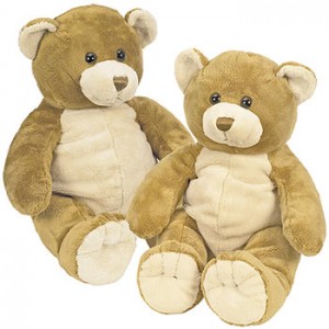 Asthma Friendly Buddy Bear