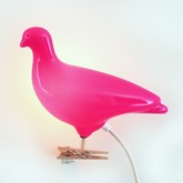 Thorsten Van Elten Pigeon Light by Ed Carpenter