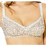 clementine feeding and maternity bra