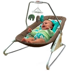 Fisher Price DwellStudio bouncer