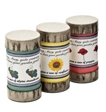 Mary Mary… Garden Starter Tubes