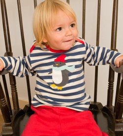 frugi striped penguin top