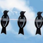 Bird Clothes Pegs