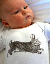 rabbit top by thornback and peel