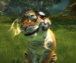 Kinectimals-Kinect-Compatible-Xbox-360-_-Amazon.co_.uk_-PC-Video-Games-2.jpg