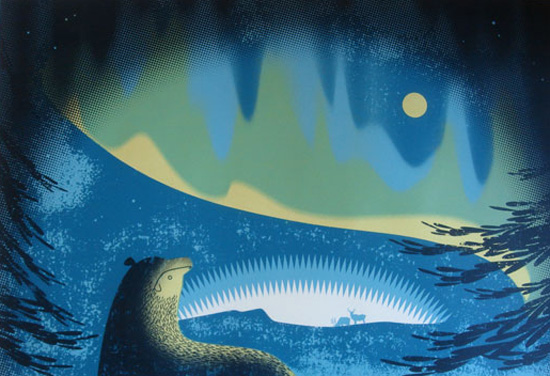 Northern Lights by Sally Elford