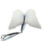 Atsuyo et Akiko Angel Wings