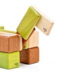 Tegu magnetic wooden blocks