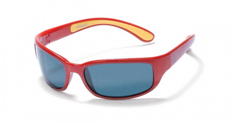 Travel Polaroid sunglasses