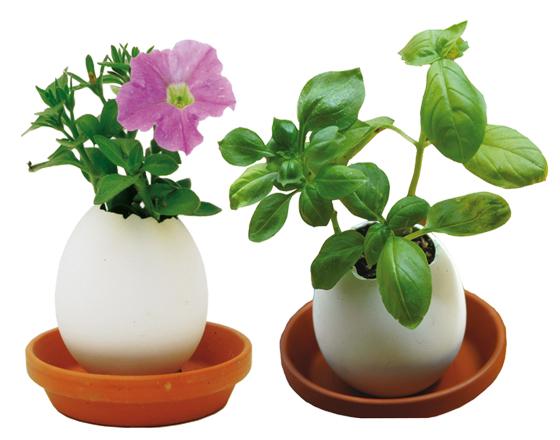 Easter Eggling