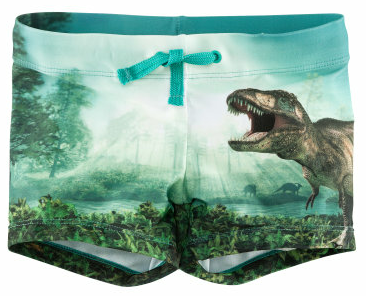 Dinosaur Swim Trunks