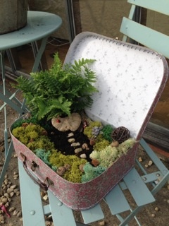 indoor fairy garden in a suitcase by Tze Ching Yeung of Jake & Maya