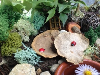 secret fairy garden by Tze Ching Yeung of Jake & Maya including secret fairy door, mushrooms, ladybirds and moss